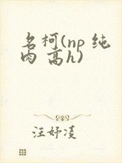 名柯(np 纯肉 高h)