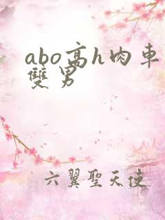 abo高h肉车双男