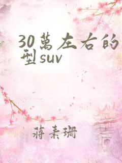 30万左右的车型suv