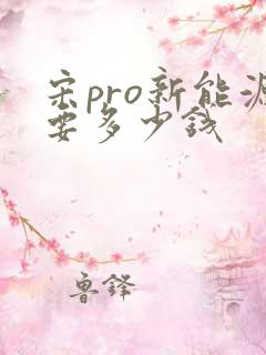 宋pro新能源要多少钱 宋pro新能源要多少钱