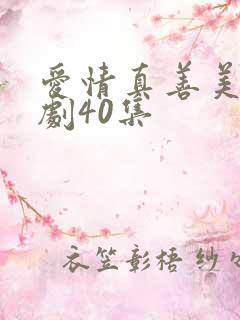 爱情真善美电视剧40集