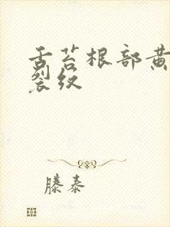 舌苔根部黄腻有裂纹