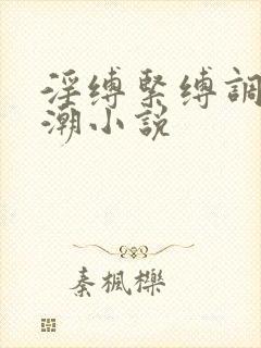 淫缚紧缚调教高潮小说