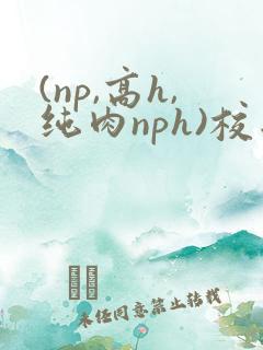 (np,高h,纯肉nph)校园