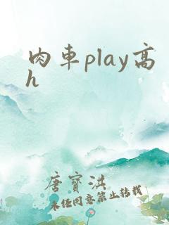 肉车play高h