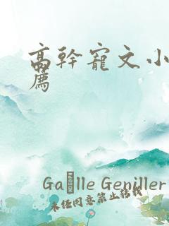 高干宠文小说推荐 高干宠文小说推荐