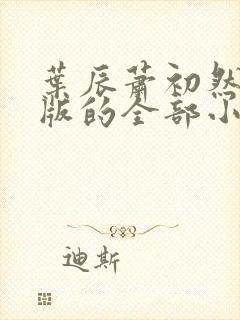 叶辰萧初然完整版的全部小说