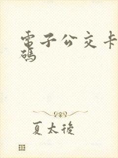 电子公交卡乘车码 电子公交卡乘车码