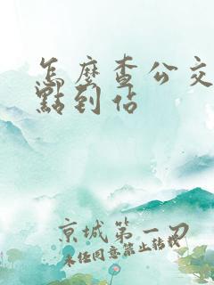 怎么查公交车几点到站