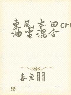 东风本田crv油电混合 东风本田crv油电混合