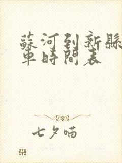 苏河到新县公交车时间表