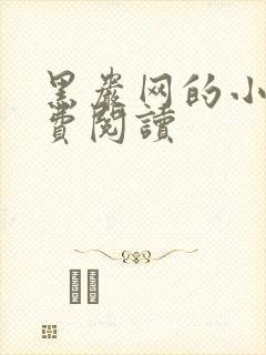 黑岩网的小说免费阅读