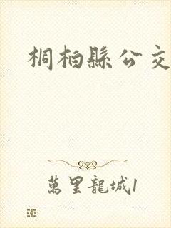 桐柏县公交线路