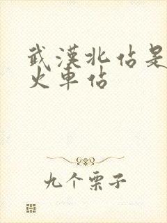 武汉北站是哪个火车站