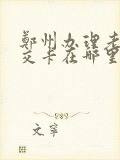 郑州办理老年公交卡在哪里办