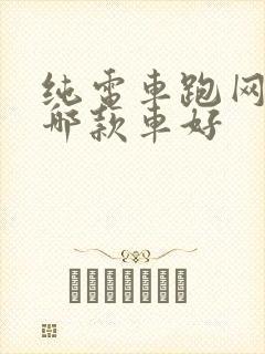 纯电车跑网约车哪款车好