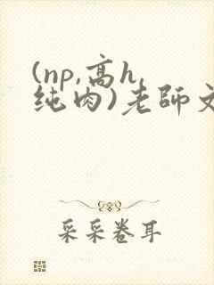 (np,高h,纯肉)老师文