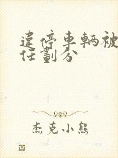 违停车辆被撞责任划分