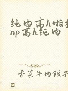 纯肉高h啪校园np高h纯肉