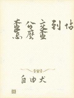 查公交到站时间怎么查
