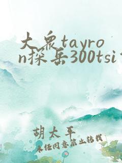 大众tayron探岳300tsi价格