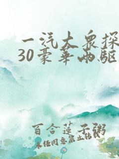一汽大众探岳330豪华两驱