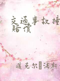 交通事故撞死人 赔偿