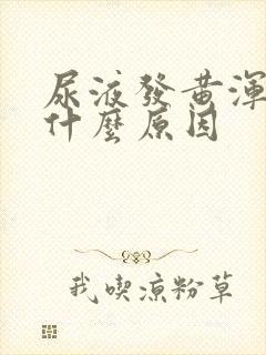 尿液发黄浑浊是什么原因