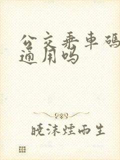 公交乘车码全国通用吗