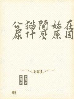 公猫开始在床上尿什么原因