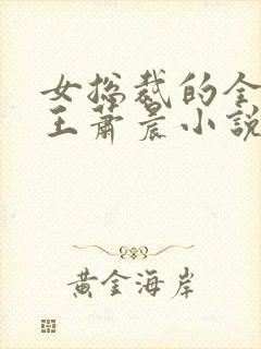 女总裁的全能兵王萧晨小说txt下载