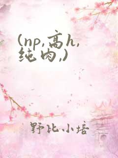 (np,高h,纯肉,) (np,高h,纯肉,)