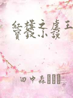 红楼之虐王夫人宝钗小说