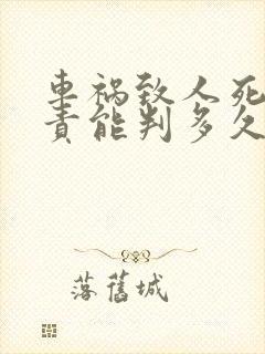 车祸致人死亡主责能判多久