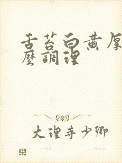 舌苔白黄厚腻怎么调理