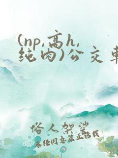 (np,高h,纯肉)公交车