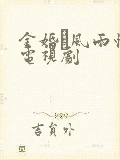 金婚·风雨情 电视剧 金婚·风雨情 电视剧