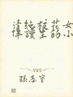 清纯校花女友做伴读生的小说叫什么