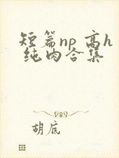 短篇np 高h 纯肉合集