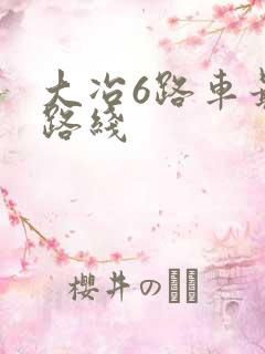 大冶6路车最新路线