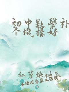 初中数学补课哪个机构好