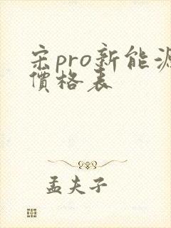 宋pro新能源价格表