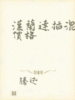 汉兰达插混版 价格