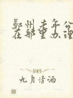 郑州老年公交卡在那里办理
