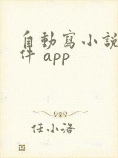 自动写小说的软件 app