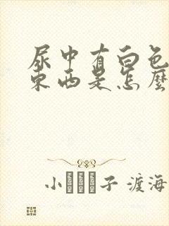 尿中有白色絮状东西是怎么回事