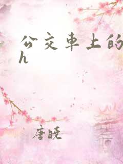 公交车上的插入h