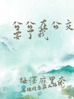 公公在公交车上要了我