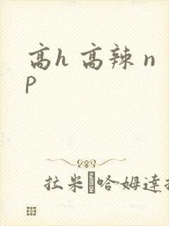 高h 高辣 np