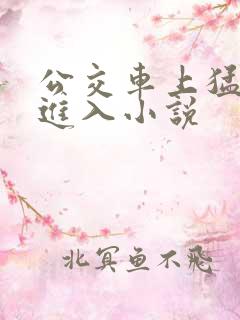 公交车上猛烈的进入小说